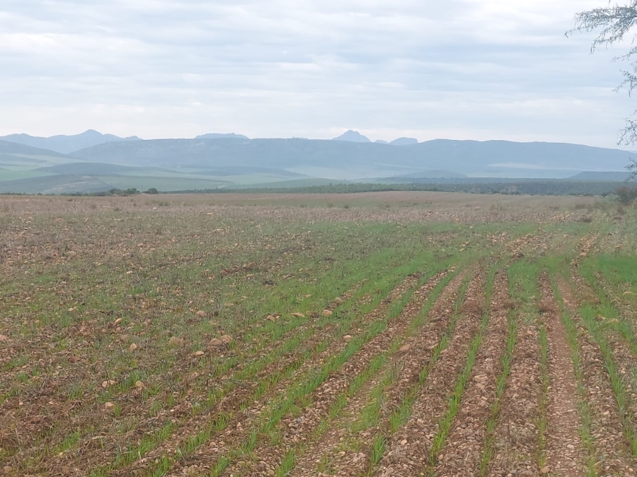 4 Bedroom Property for Sale in Oudtshoorn Rural Western Cape